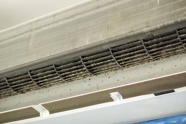 Best Local Air Duct Cleaning Services  in Casa Blanca, AZ